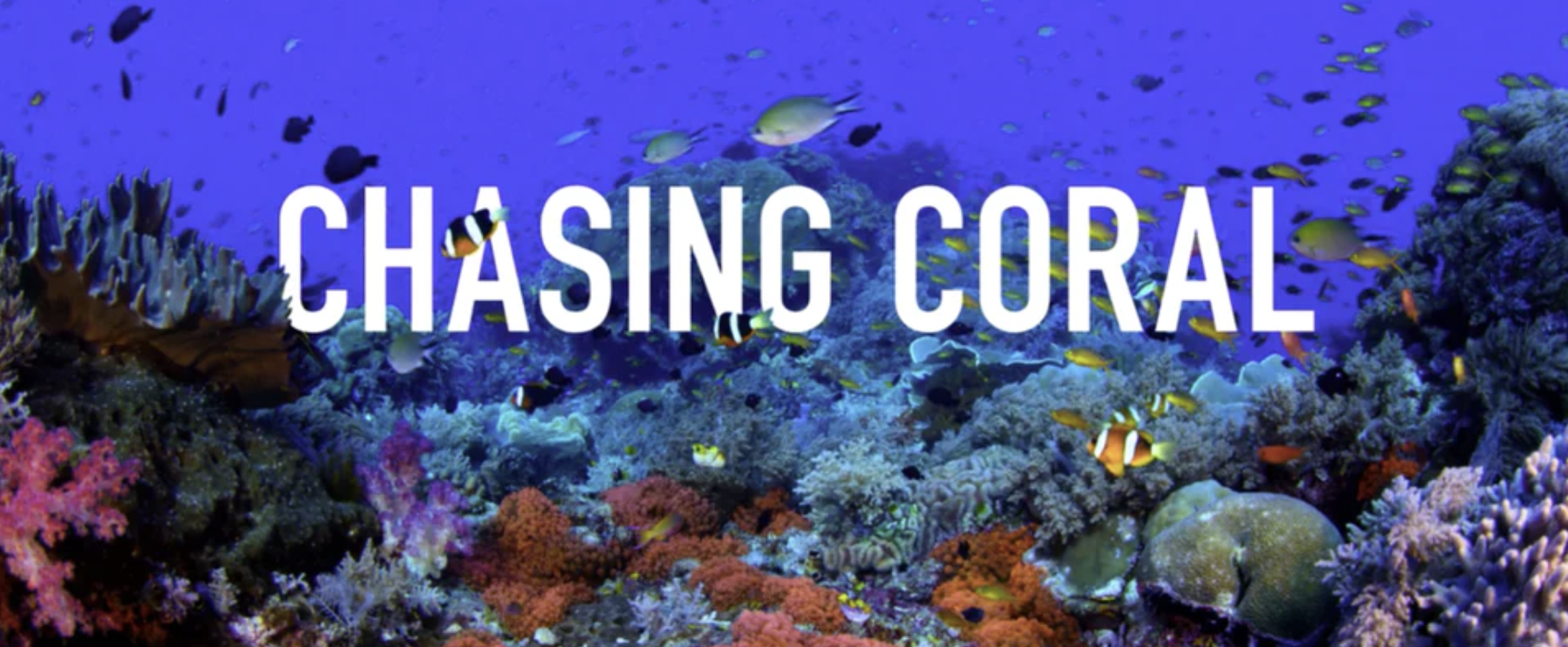 Film: Chasing Coral